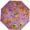 Зонт женский полуавтомат HAPPY RAIN (ХЕППИ РЭЙН) U42280-3