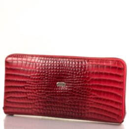 Кошелек женский кожаный DESISAN (ДЕСИСАН) SHI09-658-1KRLak
