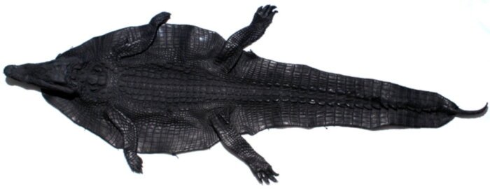 Шкура из кожи крокодила (N SH 002 Black)