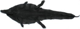 Шкура из кожи крокодила (N SH 001 Black)