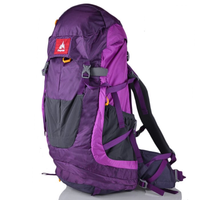Женский рюкзак туриста ONEPOLAR (ВАНПОЛАР) W1638-violet