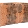 Женское портмоне из кожи морской змеи (SN 043 Caramel)