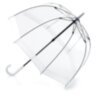 Зонт женский Fulton Birdcage-1 L041 White (Белый)