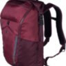 Рюкзак Victorinox Travel Altmont Active Vt602138 Красный (Швейцария)