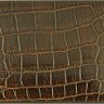 Кошелек мужской из кожи крокодила (ALM 03 EX Brown)