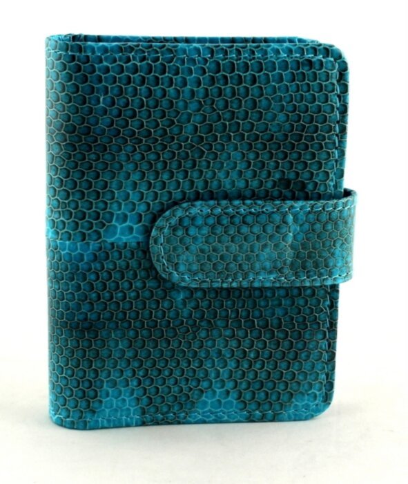 Визитница из кожи змеи (N-811Turquoise) 