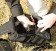 Рюкзак тактический Red Rock Rover Sling (Woodland Digital)
