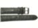 alws-1.JPG