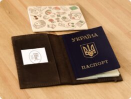 Обложка для паспорта  BlankNote  (BN-OP-1-о)  