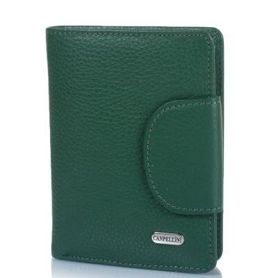 Кошелек женский кожаный CANPELLINI (КАНПЕЛЛИНИ) SHI967-299