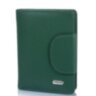 Кошелек женский кожаный CANPELLINI (КАНПЕЛЛИНИ) SHI967-299