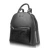 Женский кожаный рюкзак DESISAN (ДЕСИСАН) SHI6001-011
