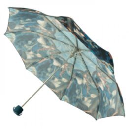 Зонт женский Fulton National Gallery Minilite-2 L849 The Umbrellas (Зонты)